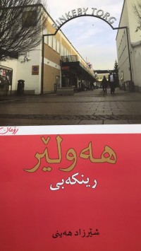 Image of هەولێر رینکە بی