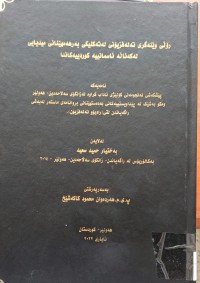 Image of ڕۆلی  وێنەگرتن لە تەكنیك بەرهەمهێنانی میدیایی لە كەناڵە ئاسمانیە كوردییەكاندا