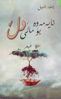 Image of نایەمەوە بۆ ماڵی دڵ