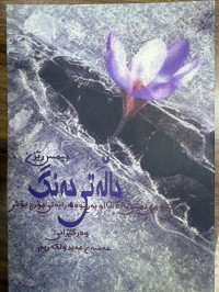 Image of حالەتی جەنگ