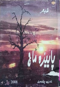Image of پایزە ماچ