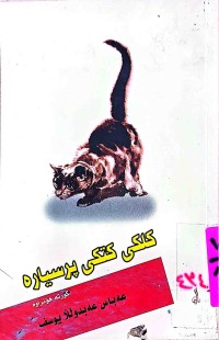 Image of كلكی كتكی پرسیارە
