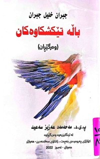 Image of باڵە تێكشكاوەكان