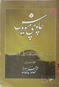 Image of چاوی پێنووس(نووسین لەنێوان پەیدابوون وبەرەوپێشچوون وكاری هونەریدا)