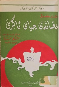 Image of ئەفسانەى چیای ئاگرین