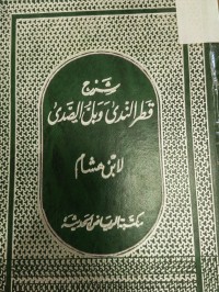 Image of شرح قطر الندى وبل الصدى- ومعه كتاب - سبيل الهدى بتحقيق شرح قطر الندى