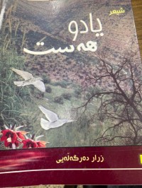 Image of یادو هه‌ست