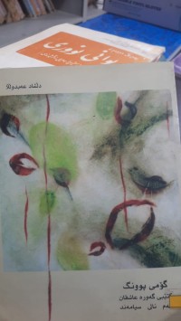 Image of گۆمی پونگ
