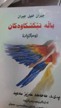 Image of باڵه‌ تێكشكاوه‌كان