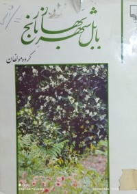 Image of بابل شهر بهار نارنج