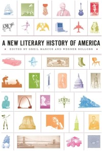Image of A New Literary History of America