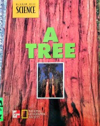 Image of A tree