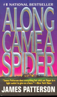 Image of Along Came a Spider