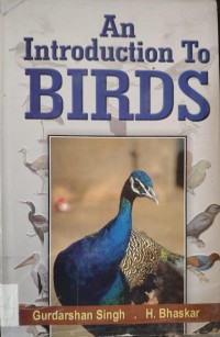 Image of An Introduction to BIRDS