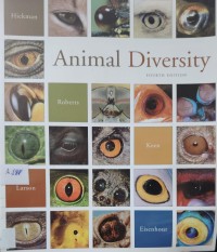 Image of Animal Diversity