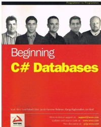 Image of BEGINNING C# DATABASES