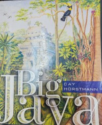 Image of Big Java
