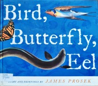 Image of Bird,Butterfly,Eel