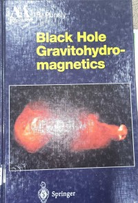 Image of Black Hole Gravitohydro-Magnetics