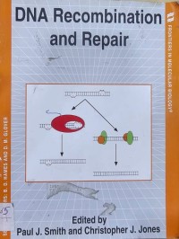 Image of DNA Recombination and Repair