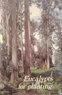 Image of Eucalypts for planting