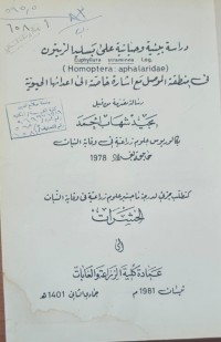 Image of Euphyllura straminea Log. دراسة بيئية وحياتية على تسليد الزيتون في منطقة الموصل مع اشارة خاصة الى اعدائها الحيوية (Homoptera: aphalaridae)