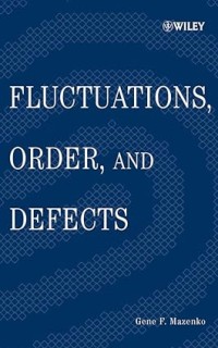 Image of Fluctuations Order & Defects