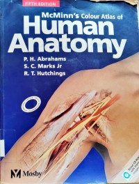 Image of Human Anatomy