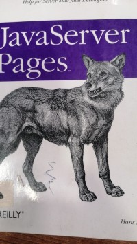 Image of Java Server pages