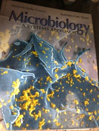 Image of MICROBIOLOGY A SYSTEMS APPROACH