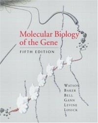 Image of Molecular Biology of the Gene