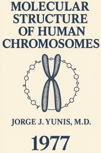 Image of Molecular Structure of Human Chromosomes