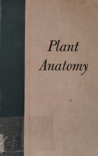 Image of Plant Anatomy