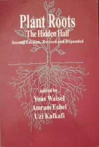 Image of Plant Roots
The Hidden Half