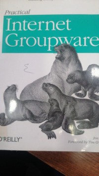Image of practical Internet Groupware