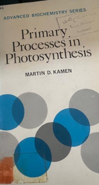 Image of Primary Processes in Photosynthesis