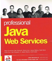 Image of PROFESSIONAL JAVA WEB SERVICES