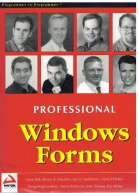 Image of PROFESSIONAL WINDOWS FORMS