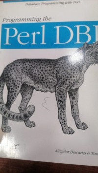 Image of Programming the Per1 DBI