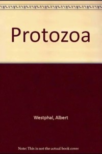 Image of Protozoa