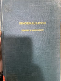 Image of Renormalization