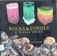 Image of Rocks and Fossils