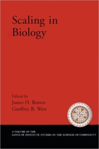 Image of Scaling in biology