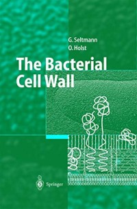 Image of The Bacterial Cell Wall