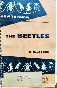 Image of THE BEETLES