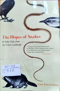 Image of The Hopes Of Snakes