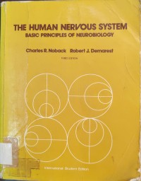 Image of The Human Nervous System