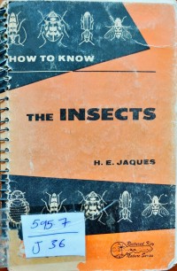 Image of THE INSECT