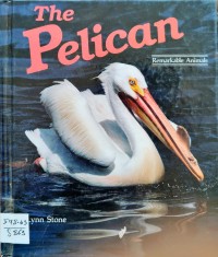 Image of The Pelican