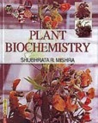 Image of Understanding Plant Biochemistry